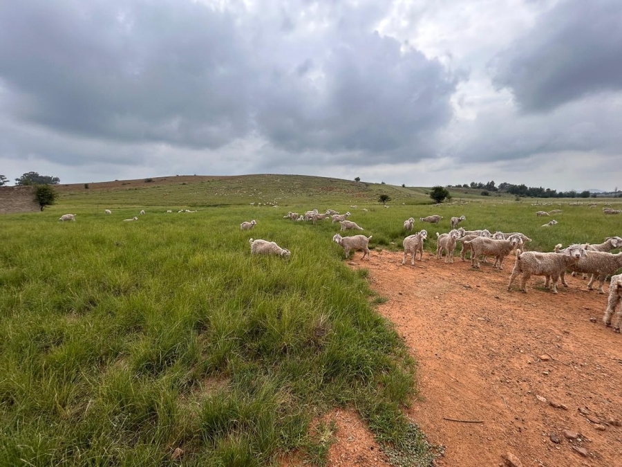 4 Bedroom Property for Sale in Parys Free State